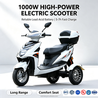 Scooter électrique à 3 roues 1000W 60V, carrosserie ouverte, capacité 300kg, tricycle fermé, siège passager ouvert, tricycle à 3 roues