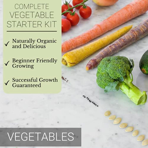 Kit da giardino interno per il giardinaggio domestico con i bambini per piantare Broccoli carote pomodoro zucchine-uso del pavimento - Product Image 4