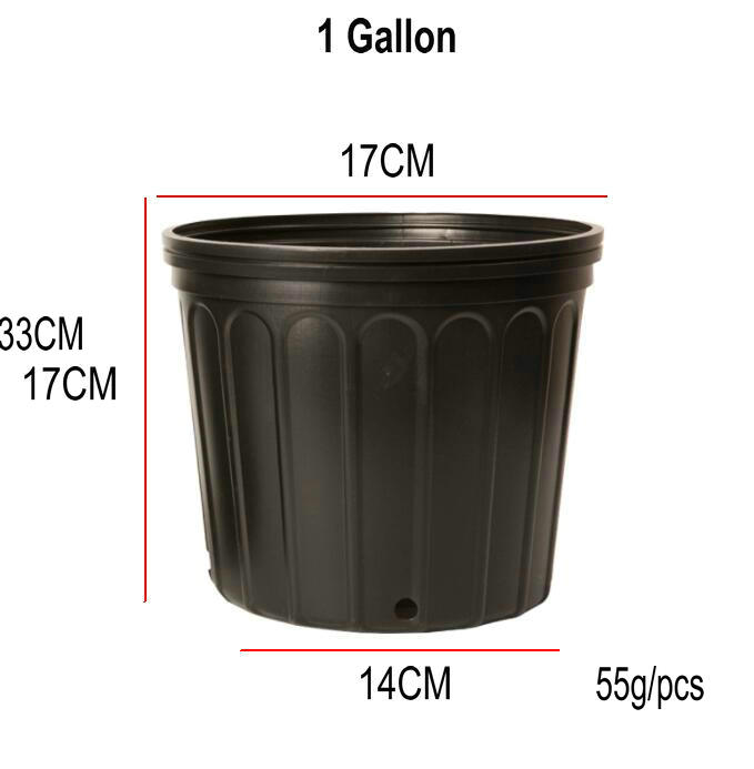 1 gallon