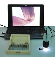 8 LED Illumination Educational Handheld USB Digital Microscope Video Recording 1280x1024 Resolution Camera IP55 Rated 3-Year