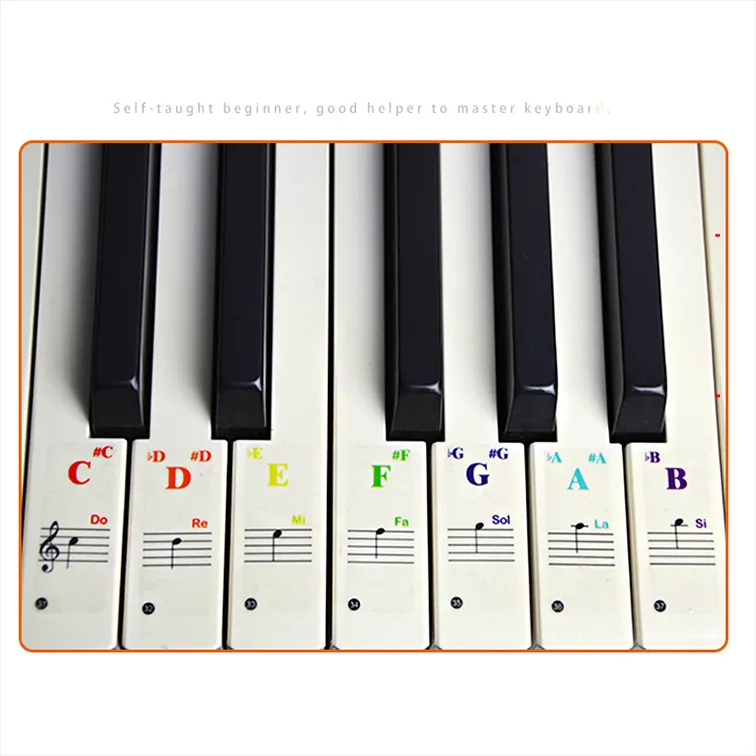 transparent 37/49/61/88 electronic keyboard piano stickers