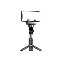 360 gradi Pano Shoot telecomando Wireless Beauty Light Desktop Gimbal stabilizzatore Fill Light Selfie Stick treppiede