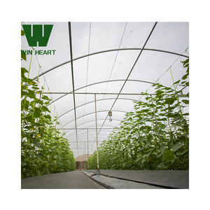 Matériau PE de grandes serres à tunnel agricole à double couche pour une culture optimale des tomates - Product Image 3