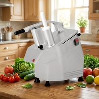 Hoge kwaliteit roestvrijstalen commerciële multifunctionele elektrische fruit-, aardappel- en groentesnijmachine