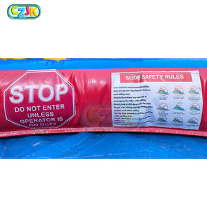 Tobogán acuático gigante para uso comercial, tobogán <span class=keywords><strong>de</strong></span> agua inflable <span class=keywords><strong>pintado</strong></span> con dos puertas, barato - Product Image 5
