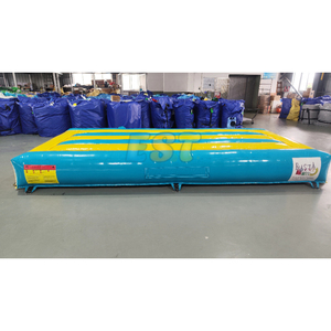 Grand matelas gonflable commercial en PVC pour fête en plein air personnalisé pour enfants coussin gonflable pour le saut et le rebond avec souffleur à vendre - Product Image 4