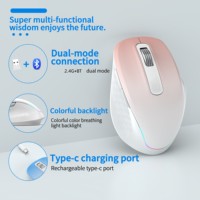 Ratón Inalámbrico RGB BT 2.4G de Modo Dual, Ratón Silencioso Recargable, Apto para Juegos, Oficina y Aprendizaje