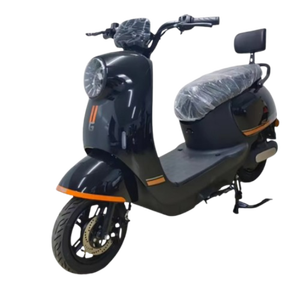 Moto électrique 1000W, style rétro café racer, moto électrique tout-terrain, vélo électrique adulte haute vitesse - Product Image 1