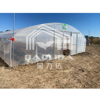Betaalbare prijs Tuin Natuurlijk Gegalvaniseerd Staal Frame Tunnel Poly PE Folie Enkelspan Kas te Koop