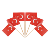 Nouveau lot de 100 cure-dents décoratifs en forme de drapeau de Turquie et de drapeaux de pays variés, mini-piques à cupcakes décorées