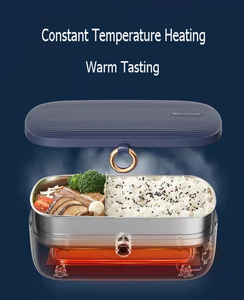 Boîte à lunch portable moderne Sorge, pot intérieur en acier inoxydable SUS304 de 900 ml, boîtier en PP, certifiée CE ROHS CCC, garantie 1 an pour usage domestique - Product Image 3