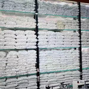 ตะขอแขวน<span class=keywords><strong>ร</strong></span>ับ<span class=keywords><strong>น</strong></span>้ำหนักได้มาก ขนาดเล็ก 2x5 ซม. สำหรับแขวนกรอบ<span class=keywords><strong>ร</strong></span>ูป ติดผ<span class=keywords><strong>น</strong></span>ังแข็ง ไม่ทิ้งรอย ตะขอพลาสติก - Product Image 6