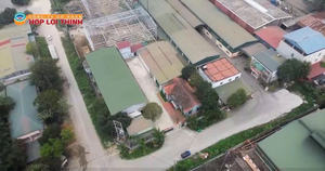 Ruban adhésif acrylique BOPP de haute qualité en format rouleau jumbo, simple face, pour l'étanchéité des cartons lourds et la personnalisation d'impression OEM - Product Image 6