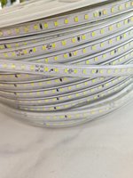 Type de prise de AC220V-IP65-2835-120D-8MM-6000K bandes lumineuses enveloppées de caoutchouc de silicone diverses applications industrielles lampes au néon