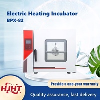 Stable Temperature High-quality Fan Safe Use Microbial Cultivation Laboratory Electric Heating Incubator