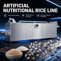 Ligne de production de riz artificiel nutritif CE pour usage commercial, capacité de production personnalisée pour les projets de programmes d'aide alimentaire