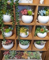 Ensembles spéciaux de plantes succulentes artificielles et de fleurs pour la décoration intérieure de la maison et du bureau