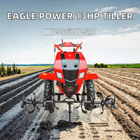 Motoculteur diesel EAGLE POWER haute performance multifonctionnel à 4 temps monocylindre 13 CV avec cultivateur rotatif