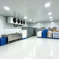 Cámara Frigorífica de Gran Tamaño con Control Digital, Compresor Automático y Fácil Operación