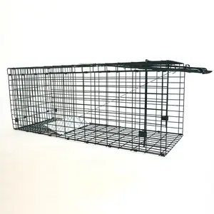 Good quality cage traps galvanized Collapsible trap cage Humane wild Animal Trap cage for catching fox dog cat