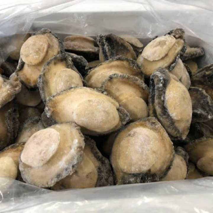 IQF Premium Abalone Meat Frozen Wild Catch Shell Off Vacuum Packed Cleaned Mollusk White Seafood Flesh