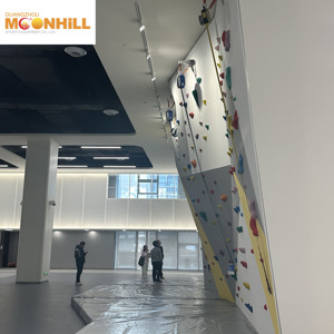 <span class=keywords><strong>Mur</strong></span> d'<span class=keywords><strong>escalade</strong></span> d'intérieur, poignées d'<span class=keywords><strong>escalade</strong></span>, volume d'<span class=keywords><strong>escalade</strong></span>, conception personnalisée de planche d'<span class=keywords><strong>escalade</strong></span>, poignées de rocher, <span class=keywords><strong>mur</strong></span> d'<span class=keywords><strong>escalade</strong></span> - Product Image 2