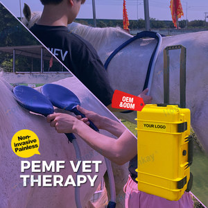 Mesin Pemf untuk kuda alat Pemf untuk penyembuhan tulang saraf mesin terapi Pemf kanal ganda untuk kuda - Product Image 1