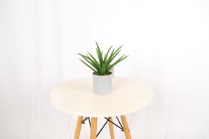 Plantas artificiales pequeño árbol hogar jardín decoración bonsái Faux Dracaena serpiente planta eucalipto árbol con maceta - Product Image 4