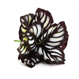 Simulated Dripping Guanyin Artificial Plant 37Cm High Simulation Leaves Indoor Decor Greenery Home <b>Wedding</b> <b>Props</b> - Product Image 3