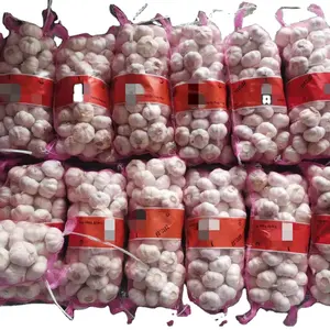 L'Ail Chinese Fresh Normal White Garlic Fresh Vegetables And Pure White Garlic For Export