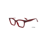 Montures de lunettes optiques carrées modernes en acétate TR, épaisses, à monture complète, unisexe, pour verres correcteurs, OEM ODM
