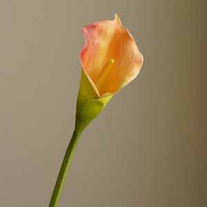 Calla Lily de haute qualité en gros, aspect naturel, toucher réaliste, PU, échantillon gratuit pour la décoration de mariage, fleur artificielle Calla Lily - Product Image 4