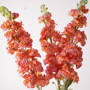 Decoración de Boda y Hogar de Alta Calidad: Flor Artificial de Narciso Delphinium Violeta Individual Hidratante con Hilo Plástico - Product Image 5