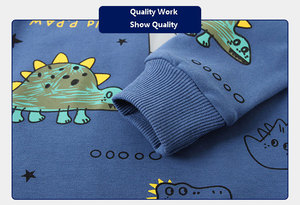 Nuevo Diseño de Sudadera con Capucha de Dinosaurio, Conjuntos de Ropa Casual de 2 Piezas para Niños, Pantalones Deportivos para Niños, Conjuntos de Ropa para Niños Otoño - Product Image 6