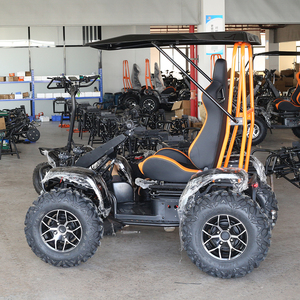 Scooter électrique tout-terrain 4x4 robuste 6000W avec batterie 50Ah et auvent pour la ferme, la patrouille extérieure – Le meilleur choix - Product Image 1