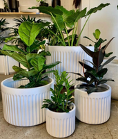 Jardinières élégantes en ciment blanc à rayures, pots de fleurs d'extérieur en fibre de verre, pots de plantes d'intérieur et d'extérieur en fibre de verre, vente en gros