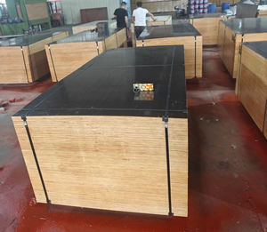 Compensato per Casseforme E1 di Alta Qualità, Ecologico, con Nucleo in Eucalipto e Impiallacciatura di Betulla Spessa 18mm, da Guangxi - Product Image 4