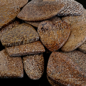 Vente en gros lot de pierres précieuses en os de dinosaure naturel - Product Image 1