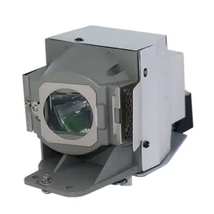 Originele Vervangende Projector Lamp Met Behuizing 5J.J9E05.001 Voor Benq W1400 W1500