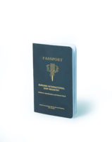 Impression personnalisée de passeports de voyage en papier de dessin animé, service de vente en gros, passeport de jeu personnalisé pour enfants