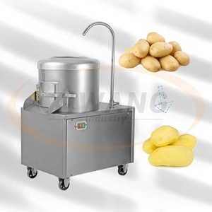 Machine Commerciale Automatique de Lavage et d'Épluchage de Fruits et Légumes pour Patates Douces, Taro, Carottes, Pommes de Terre, Gingembre – Éplucheur et Laveur à Froid - Product Image 5