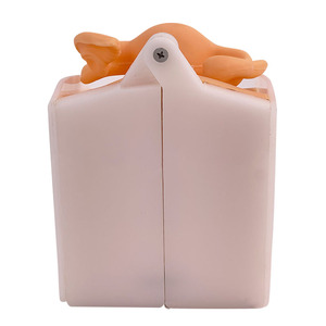 Vrouwelijke <span class=keywords><strong>Vagina</strong></span> Onderzoek Model Vrouwelijke Voortplantingssysteem Model Cervicale Onderzoek Model - Product Image 3