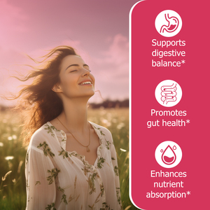 Gommes prébiotiques et probiotiques de haute qualité : soutien complet des glucides, renforce la santé immunitaire et digestive, améliore l'absorption des nutriments - Product Image 6