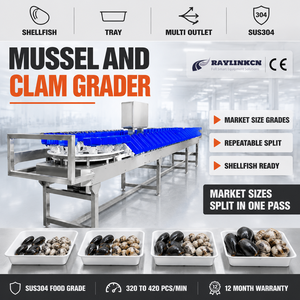 เครื่องชั่งคัดเกรด สแตนเลส 304 แบ่งเกรดน้ำหนักหลายระดับ <span class=keywords><strong>หอย</strong></span>แมลงภู่ <span class=keywords><strong>หอย</strong></span>ลาย สัตว์น้ำมีเปลือก โรงงานแปรรูปสัตว์น้ำ ห้องแปรรูป - Product Image 3