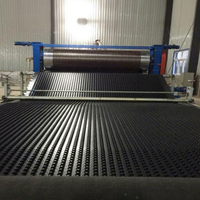 Machine de fabrication de plaques de drainage en PEHD haute vitesse avec système de moulage par gaufrage, ligne d'extrusion de feuilles de drainage en plastique