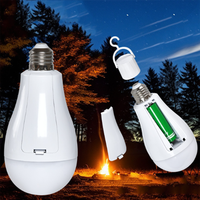Ampoule de secours LED AC85-265V rechargeable de haute qualité haute luminosité avec batterie détachable pour le camping en plein air