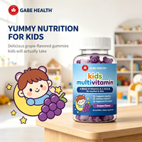 OEM Private Label Multivitamin Gummies Anak 10+ Nutrisi Vitamin A C D E K Bs Zinc Rasa Grope 60 Buah untuk Irmne Custom