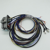 Câble industriel OEM personnalisé avec conducteurs en cuivre nu, indice de protection IP67 pour drones, applications électroniques, connecteurs adaptateurs
