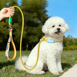 2026 NEW Fashion Walking Training <b>Tool</b> Durable Pet Leash Comfortable Padded Handle Slip Lead Adjustable Nylon Dog Rope Leash - Product Image 1