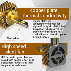 Fabbrica Canbus D1S LED faro D serie Canbus LED luce ad alta potenza 110W D2S D3S D4S D5S D8S D1S HID Denon lampadine auto - Product Image 3